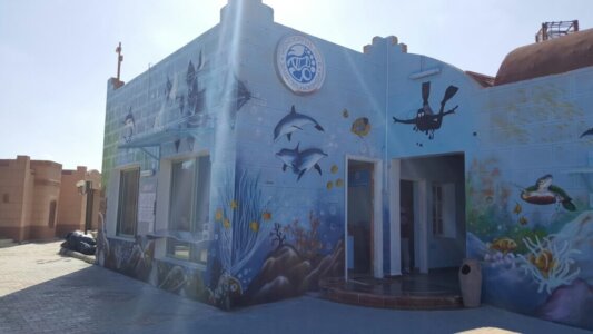 Wonderful Dive Marsa Alam Wonderful Dive Akassia