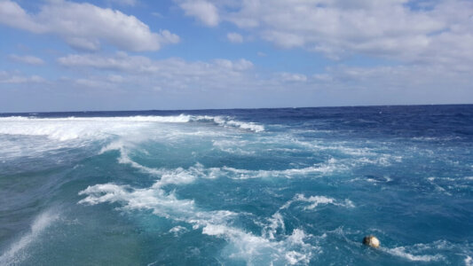 Rohanou Beach Eco Resort Marsa Alam Rohanou Beach Eco Resort Marsa Alam